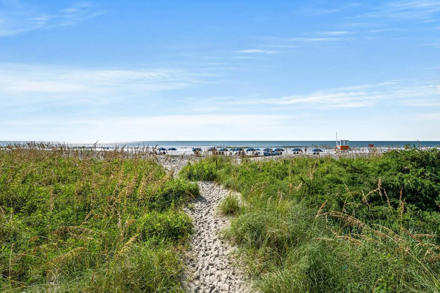 Coastal sunset by the water